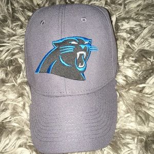 Panthers Hat